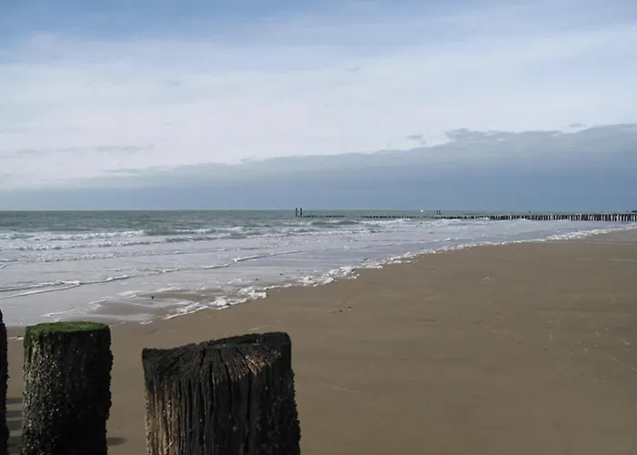 D\'N Wasschappelsen Engel Windkracht 9 En Windkracht 10